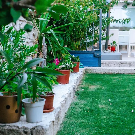 Alanarin 2* 알라카티